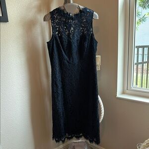 Elegant Navy Blue Eliza J Lace Dress